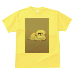 yLj[Y TVc fB[X t@  t  vg JWA 킢 lԗp h ̃fUC ʔ yLj[Y