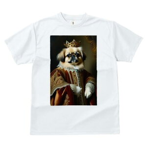 yLj[Y TVc fB[X t@  t  vg JWA 킢 lԗp h ̃fUC ʔ  yLj[Y [u  ё