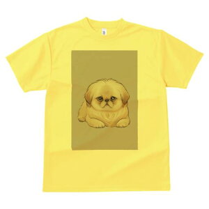 yLj[Y TVc fB[X t@  t  vg JWA 킢 lԗp h ̃fUC ʔ yLj[Y