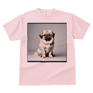 yLj[Y TVc fB[X t@  t  vg JWA 킢 lԗp h ̃fUC ʔ Kl yLj[Y