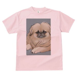 yLj[Y TVc fB[X t@  t  vg JWA 킢 lԗp h ̃fUC ʔ yLj[Y