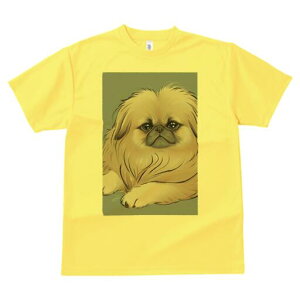 yLj[Y TVc fB[X t@  t  vg JWA 킢 lԗp h ̃fUC ʔ yLj[Y