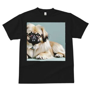 yLj[Y TVc fB[X t@  t  vg JWA 킢 lԗp h ̃fUC ʔ Kl yLj[Y