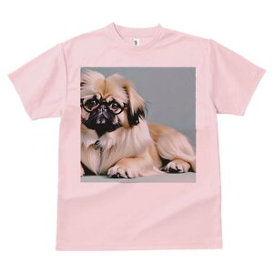 yLj[Y TVc fB[X t@  t  vg JWA 킢 lԗp h ̃fUC ʔ Kl yLj[Y