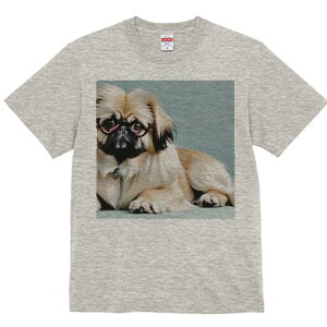 yLj[Y TVc fB[X t@  t  vg JWA 킢 lԗp h ̃fUC ʔ Kl yLj[Y