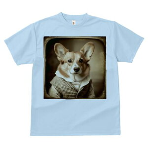 R[M[ TVc fB[X t@  t  vg JWA 킢 lԗp h ̃fUC ʔ g R[M[ Be[W 