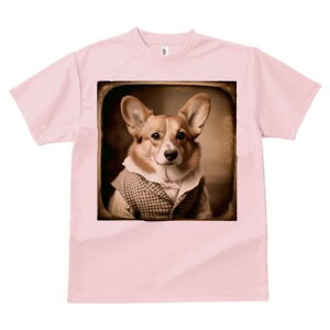 R[M[ TVc fB[X t@  t  vg JWA 킢 lԗp h ̃fUC ʔ g R[M[ Be[W 