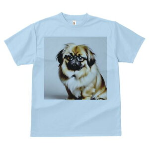 yLj[Y TVc fB[X t@  t  vg JWA 킢 lԗp h ̃fUC ʔ Kl yLj[Y