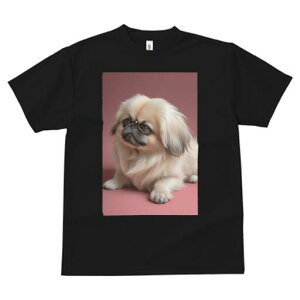 yLj[Y TVc fB[X t@  t  vg JWA 킢 lԗp h ̃fUC ʔ yLj[Y