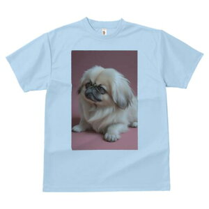 yLj[Y TVc fB[X t@  t  vg JWA 킢 lԗp h ̃fUC ʔ yLj[Y