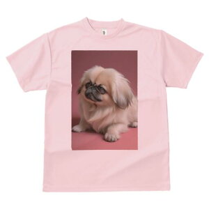 yLj[Y TVc fB[X t@  t  vg JWA 킢 lԗp h ̃fUC ʔ yLj[Y