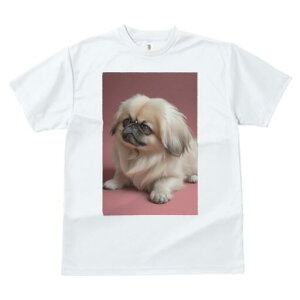 yLj[Y TVc fB[X t@  t  vg JWA 킢 lԗp h ̃fUC ʔ yLj[Y