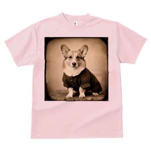 R[M[ TVc fB[X t@  t  vg JWA 킢 lԗp h ̃fUC ʔ g R[M[ Be[W 