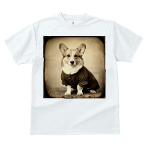 R[M[ TVc fB[X t@  t  vg JWA 킢 lԗp h ̃fUC ʔ g R[M[ Be[W 