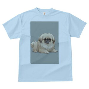 yLj[Y TVc fB[X t@  t  vg JWA 킢 lԗp h ̃fUC ʔ yLj[Y