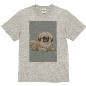 yLj[Y TVc fB[X t@  t  vg JWA 킢 lԗp h ̃fUC ʔ yLj[Y