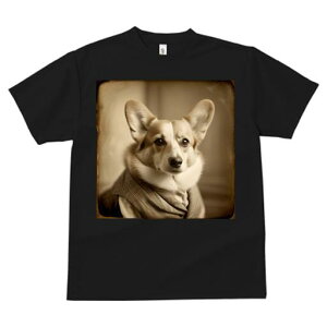 R[M[ TVc fB[X t@  t  vg JWA 킢 lԗp h ̃fUC ʔ g R[M[ Be[W 