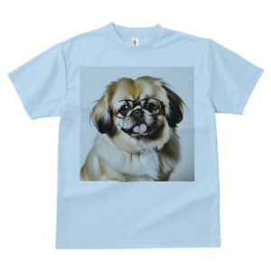 yLj[Y TVc fB[X t@  t  vg JWA 킢 lԗp h ̃fUC ʔ Kl yLj[Y