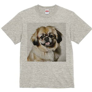 yLj[Y TVc fB[X t@  t  vg JWA 킢 lԗp h ̃fUC ʔ Kl yLj[Y