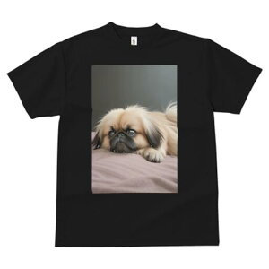 yLj[Y TVc fB[X t@  t  vg JWA 킢 lԗp h ̃fUC ʔ yLj[Y