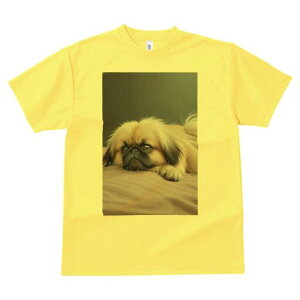 yLj[Y TVc fB[X t@  t  vg JWA 킢 lԗp h ̃fUC ʔ yLj[Y