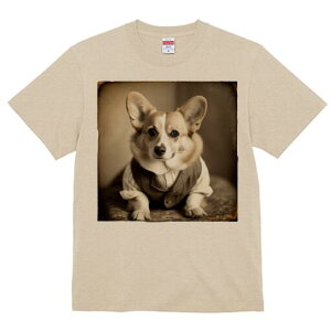 R[M[ TVc fB[X t@  t  vg JWA 킢 lԗp h ̃fUC ʔ xXg R[M[ 