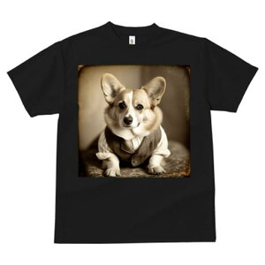 R[M[ TVc fB[X t@  t  vg JWA 킢 lԗp h ̃fUC ʔ xXg R[M[ 