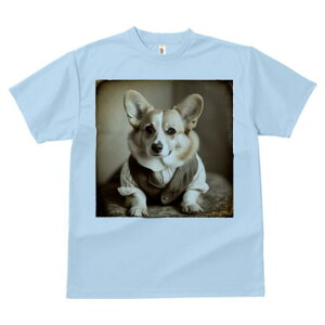 R[M[ TVc fB[X t@  t  vg JWA 킢 lԗp h ̃fUC ʔ xXg R[M[ 