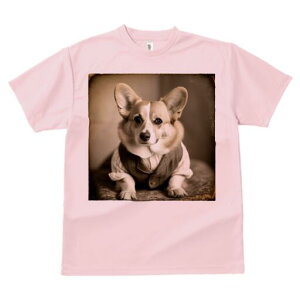 R[M[ TVc fB[X t@  t  vg JWA 킢 lԗp h ̃fUC ʔ xXg R[M[ 