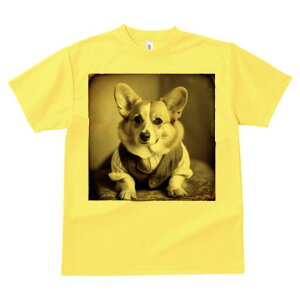 R[M[ TVc fB[X t@  t  vg JWA 킢 lԗp h ̃fUC ʔ xXg R[M[ 