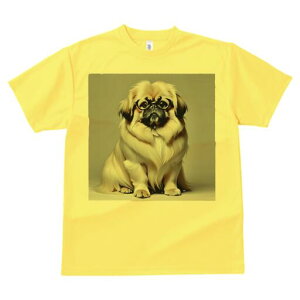 yLj[Y TVc fB[X t@  t  vg JWA 킢 lԗp h ̃fUC ʔ Kl yLj[Y