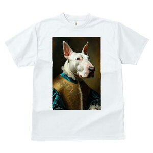 ueA TVc fB[X t@  t  vg JWA 킢 lԗp h ̃fUC ʔ ё ueA 