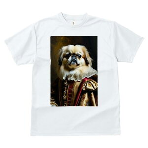 yLj[Y TVc fB[X t@  t  vg JWA 킢 lԗp h ̃fUC ʔ ё yLj[Y M ߑ lTX