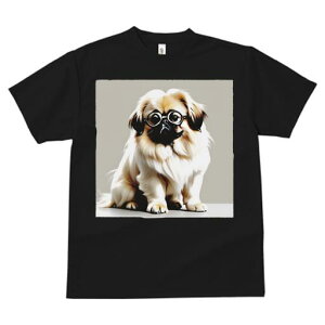 yLj[Y TVc fB[X t@  t  vg JWA 킢 lԗp h ̃fUC ʔ Kl yLj[Y