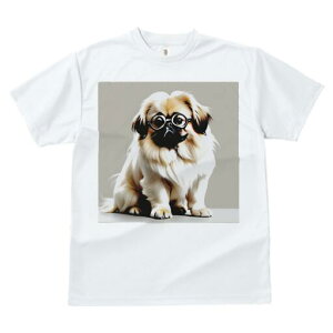 yLj[Y TVc fB[X t@  t  vg JWA 킢 lԗp h ̃fUC ʔ Kl yLj[Y