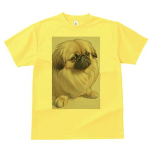 yLj[Y TVc fB[X t@  t  vg JWA 킢 lԗp h ̃fUC ʔ yLj[Y