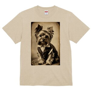 [NV[eA TVc fB[X t@  t  vg JWA 킢 lԗp h ̃fUC ʔ X[c [NV[eA ё Be[W