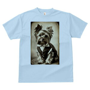 [NV[eA TVc fB[X t@  t  vg JWA 킢 lԗp h ̃fUC ʔ X[c [NV[eA ё Be[W