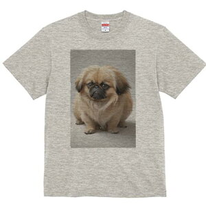 yLj[Y TVc fB[X t@  t  vg JWA 킢 lԗp h ̃fUC ʔ yLj[Y