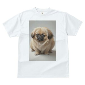 yLj[Y TVc fB[X t@  t  vg JWA 킢 lԗp h ̃fUC ʔ yLj[Y