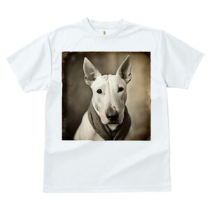 ueA TVc fB[X t@  t  vg JWA 킢 lԗp h ̃fUC ʔ XJ[t ueA