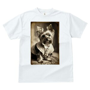 [NV[eA TVc fB[X t@  t  vg JWA 킢 lԗp h ̃fUC ʔ AeB[N [NV[eA g Be