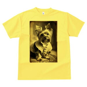 [NV[eA TVc Y LbY t@  t  vg JWA 킢 lԗp h ̃fUC ʔ AeB[N [NV[eA g B