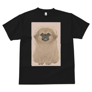 yLj[Y TVc fB[X t@  t  vg JWA 킢 lԗp h ̃fUC ʔ yLj[Y