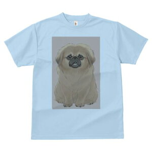 yLj[Y TVc fB[X t@  t  vg JWA 킢 lԗp h ̃fUC ʔ yLj[Y