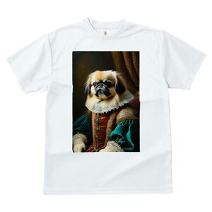 yLj[Y TVc fB[X t@  t  vg JWA 킢 lԗp h ̃fUC ʔ ё yLj[Y lTX  ߑ