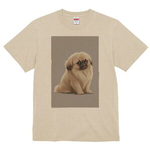 yLj[Y TVc fB[X t@  t  vg JWA 킢 lԗp h ̃fUC ʔ yLj[Y