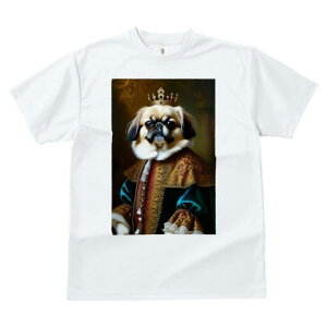 yLj[Y TVc fB[X t@  t  vg JWA 킢 lԗp h ̃fUC ʔ  yLj[Y M ߑ lTX