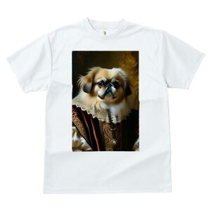 yLj[Y TVc fB[X t@  t  vg JWA 킢 lԗp h ̃fUC ʔ ё yLj[Y lTX