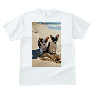 R[M[ TVc fB[X t@  t  vg JWA 킢 lԗp h ̃fUC ʔ r[` R[M[ C  l